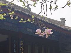 -万寿八仙宫