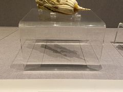 -四川博物院