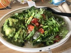 -油梨树 AVOCADO TREE(亮马桥店)