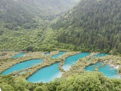 -九寨沟-树正沟