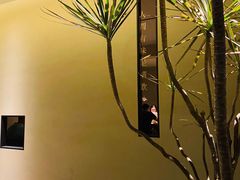 -青桃餐厅