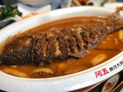 -阿五黄河大鲤鱼(纬三路店)