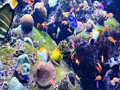 -成都浩海立方海洋公园