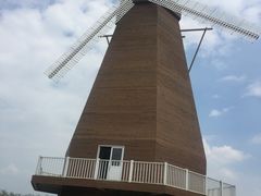 -漩门湾国家湿地公园