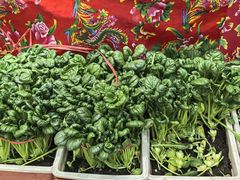 -旺角小渔村·海肠捞饭开创者(二马路店)