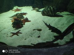 -福州罗源湾海洋世界旅游区