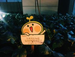 -梦田都市农场(银泰城店)