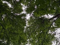-山王坪喀斯特国家生态公园
