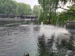 -百脉泉景区