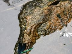 -碓臼峪自然风景区