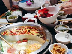 -大龙燚火锅(南山大道店)