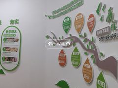 -培飞思维启蒙·益智游戏·科学探索(城西银泰店)