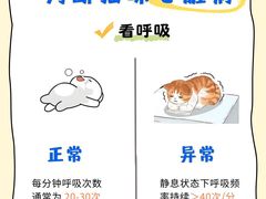 -瑞鹏宠物医院·内科·中兽医·骨科(苗圃店)