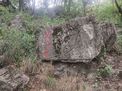 -南京老山国家森林公园
