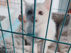 -赢吧Bliss音乐酒吧