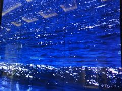 -迪拜帆船酒店海底餐厅