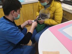 -初心动物医院