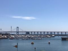 -大连圣亚海洋世界