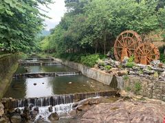 -广州白江湖森林公园