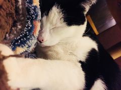 -猫的天空之城概念书店(杭州南宋御街店)