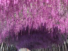 -嘉兴清池酒店温泉