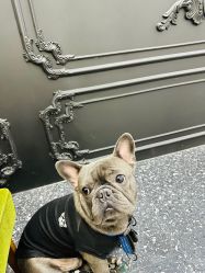 -Hair Co.一间沙龙