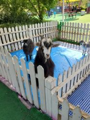 -萌宠亲子动物乐园(槐房万达店)