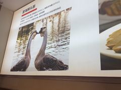 -陆记鹅庄·潮汕菜·狮头鹅(大仟里店)