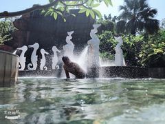 -江门古兜温泉小镇