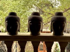 -子福慧(虹桥店)