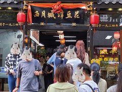 -西月城谭豆花(春熙路店)