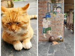-远山有窑