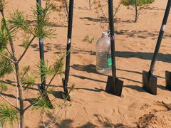 -亿利库布其七星湖沙漠生态旅游区