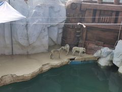 -秦皇岛乐岛海洋王国