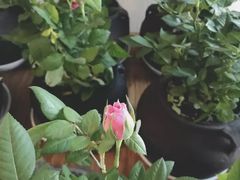 -瓦库茶馆17号(海汇港店)