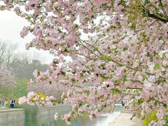-海棠花溪(元大都城垣遗址公园)
