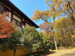 -灵谷景区