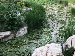 -燕郊植物园
