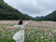 -广州市石门国家森林公园