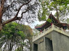 -青龙山国家森林公园