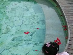 android_upload_pic-大连罗马假日酒店温泉