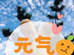 -棒棰岛宾馆景区