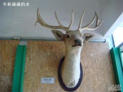 -北京麋鹿生态实验中心