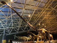 -世界恐龙谷景区