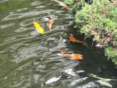 -聚福宝合苑食府(南头镇店)