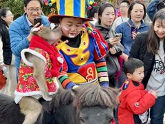 -灵玲国际马戏城
