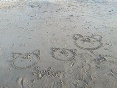 -北戴河东海水浴场