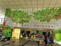 -深圳市宝安区妇幼保健院