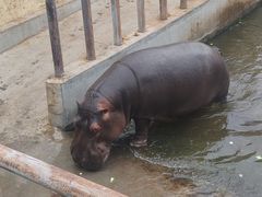 -青藏高原野生动物园