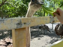 -水上乐园·欢乐世界